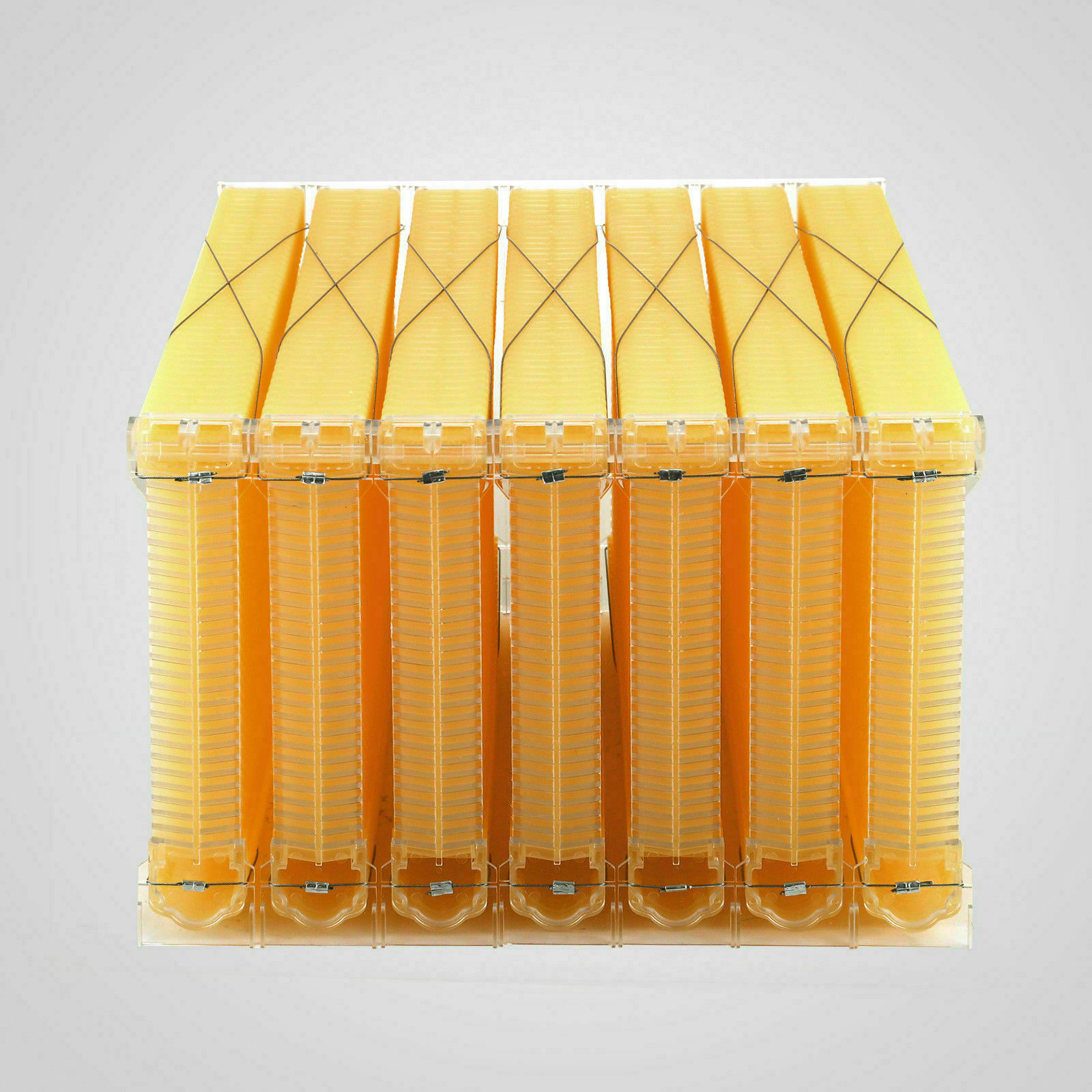7x Auto Shed Honey Bee Hive Frames + Brood Beehive House Box Complete Beekeeping