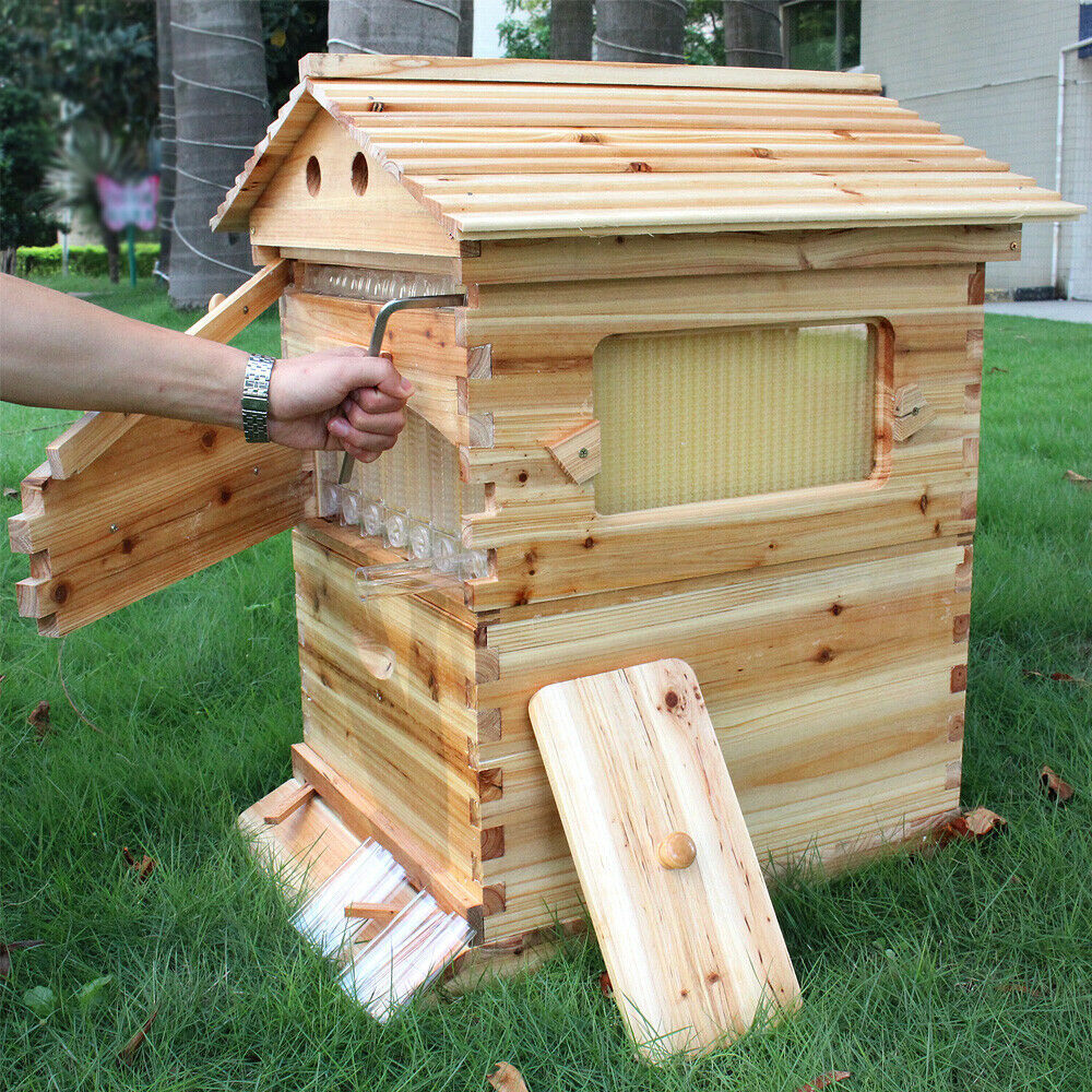 7x Auto Shed Honey Bee Hive Frames + Brood Beehive House Box Complete Beekeeping