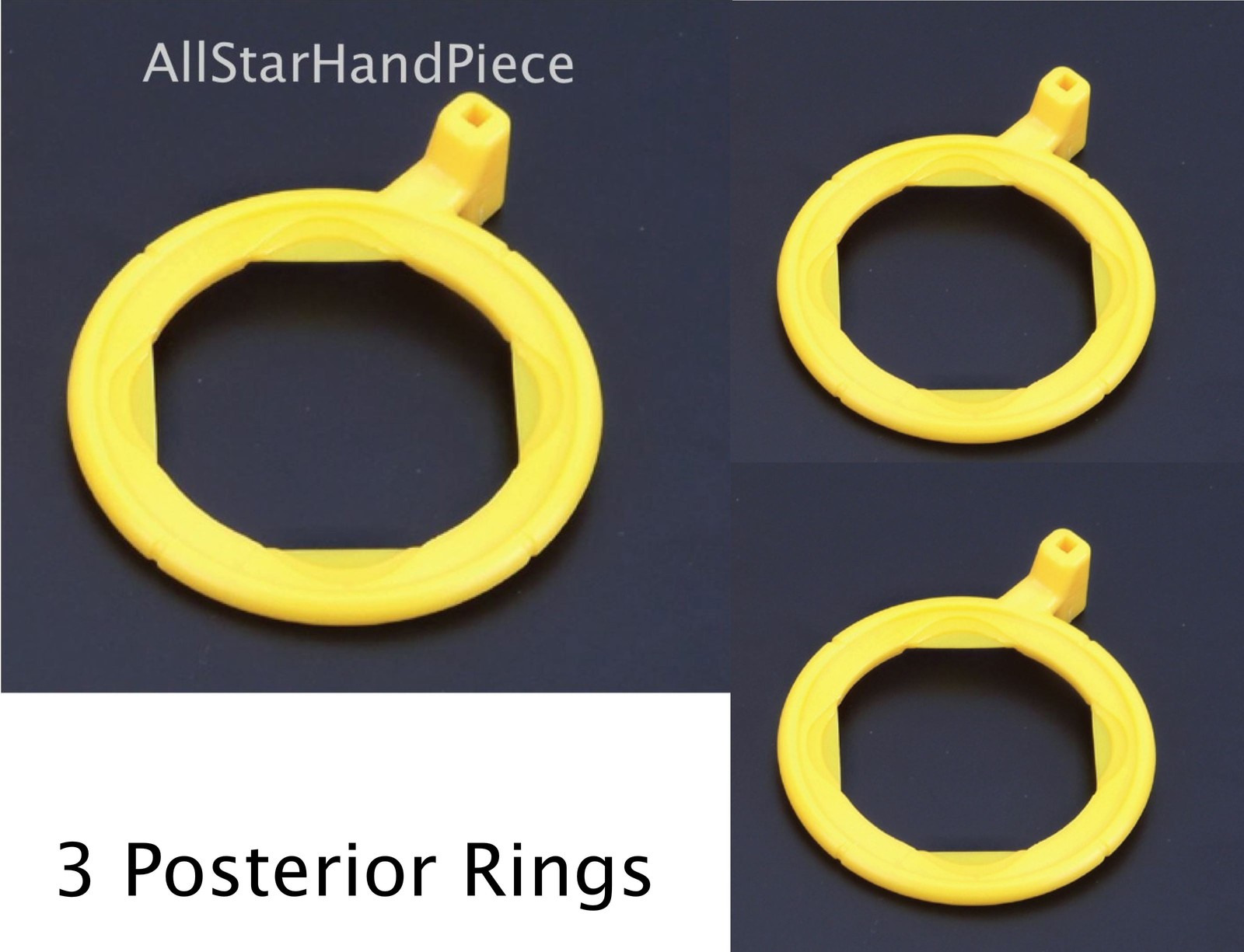 3 Posterior X-ray Aiming Rings Color Coded Rinn XCP Style Positioning (3 Rings)